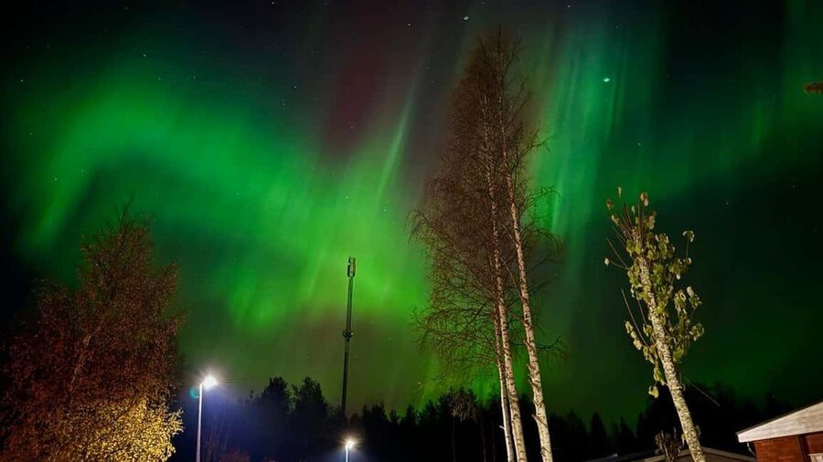 Rovaniemi: Northern Lights Tour with BBQ - Should you book this Rovaniemi aurora hunt?