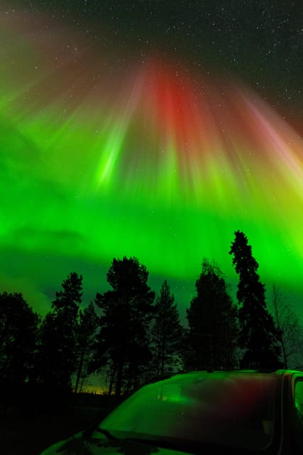 Rovaniemi: Northern Lights Tour with Guarantee - Key points to know before you book