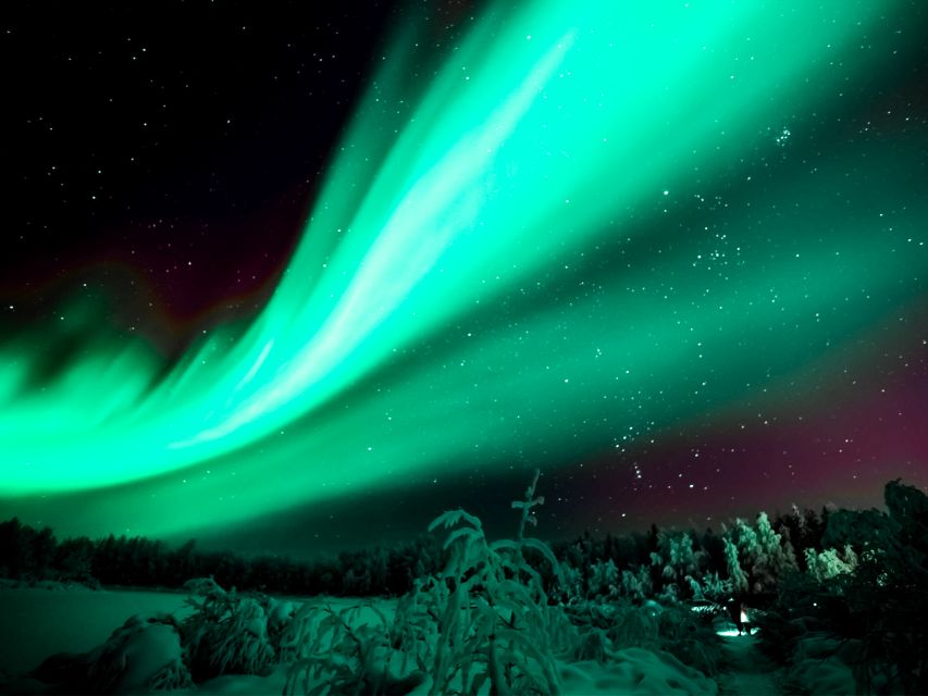 Rovaniemi: Northern Lights Tour with Guaranteed Sightings - Key details before you book