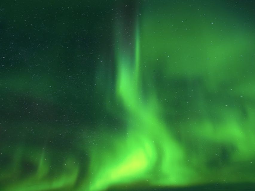 Northern lights over the forest outside Rovaniemi