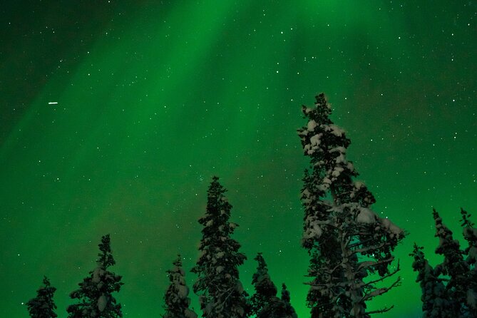 Rovaniemi: Northern Lights Tour - The stops depend on the night