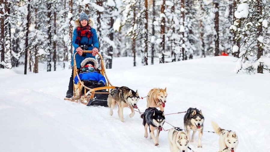 Rovaniemi: One Hour Husky Experience - Inside the heated hut