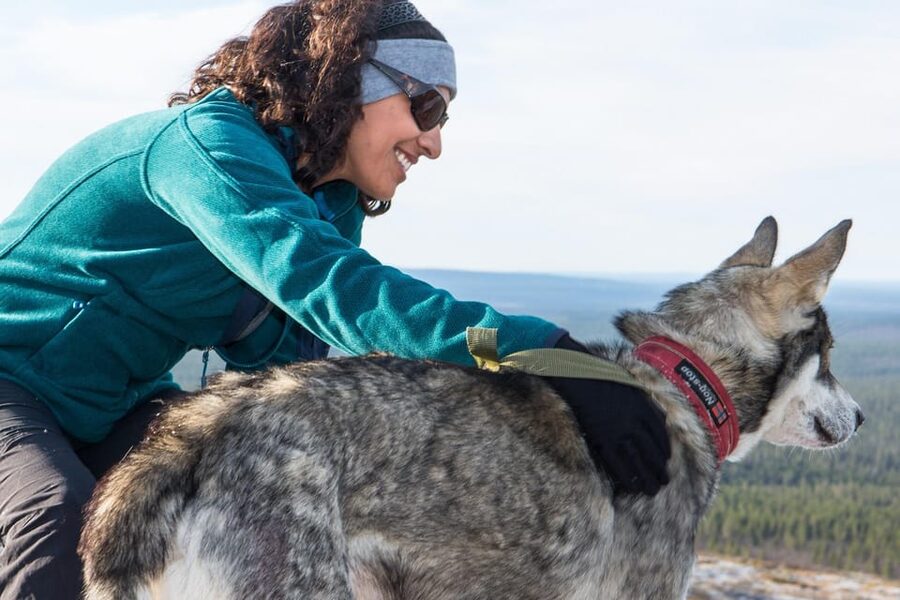Rovaniemi: One Hour Husky Experience - Meeting the dogs at the farm