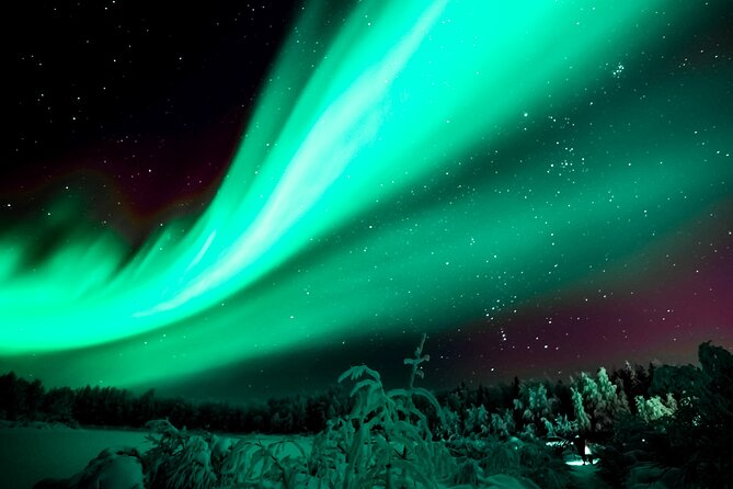Rovaniemi: Private Aurora Tour with Guaranteed Sightings - Why an eight-hour Aurora search matters in Rovaniemi