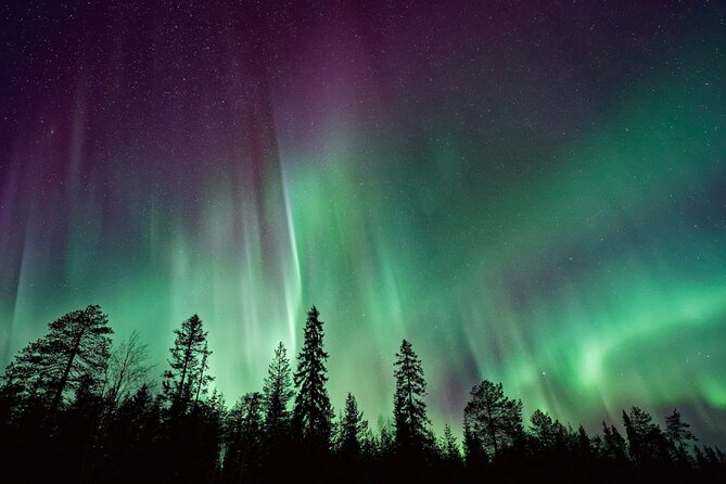 Rovaniemi: Private Aurora Tour with Guaranteed Sightings - Who should book this private Rovaniemi tour?