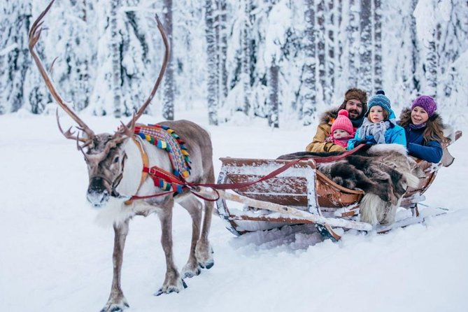 Rovaniemi Private Transfer from Rovaniemi city centre to Rovaniemi airport - Sedan or six-seat van for your group