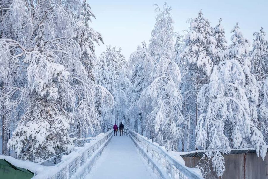 Rovaniemi: Ranua Zoo Wildlife Park Tour with hotel pickup - Is $135 good value for five hours?