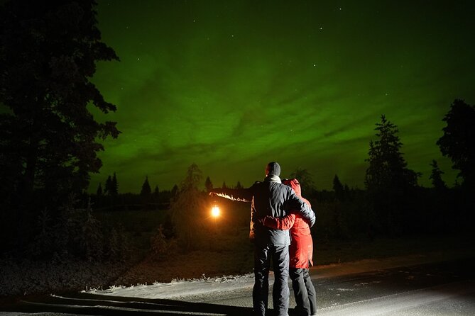 Rovaniemi – Real Northern Lights Hunting Experience (Small Group) - What is included, and what is not