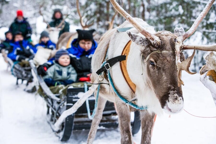 Rovaniemi: Reindeer Farm Visit and Sleigh Ride with transfer - Leaving Rovaniemi for a reindeer farm