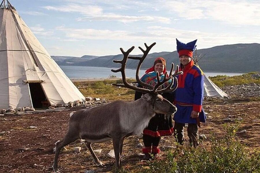 Rovaniemi: Reindeer Farm Visit in the Summer - Practical advice for a smoother visit