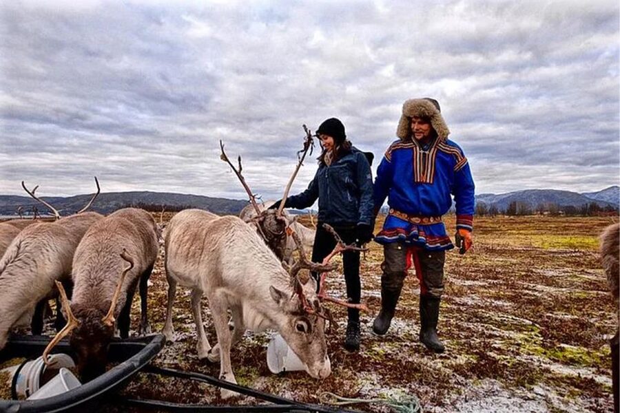 Rovaniemi: Reindeer Farm Visit in the Summer - From central Rovaniemi to the reindeer farm