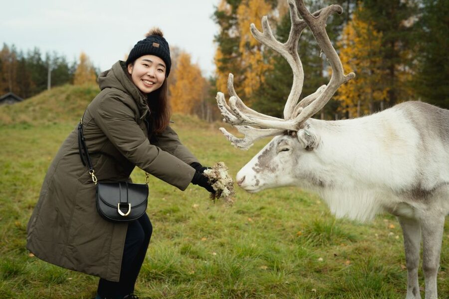 Rovaniemi: Reindeer Farm Visit with Photographer - Why this reindeer farm feels different from a quick photo stop