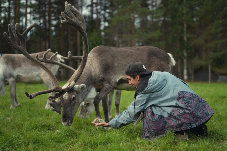 Rovaniemi: Reindeer Farm Visit with Photographer - Who should book this experience?
