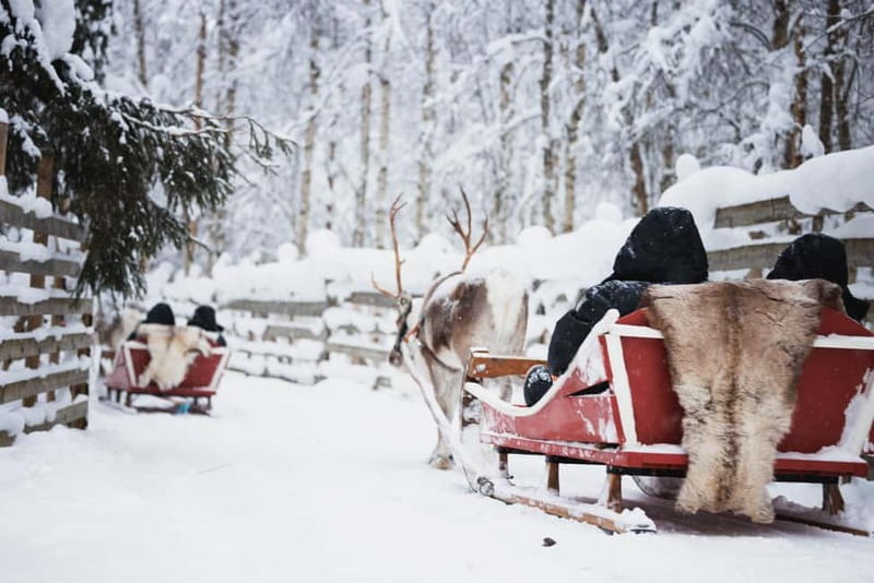 Rovaniemi: Reindeer, Huskies & Santa Claus Village - A practical way to see classic Lapland