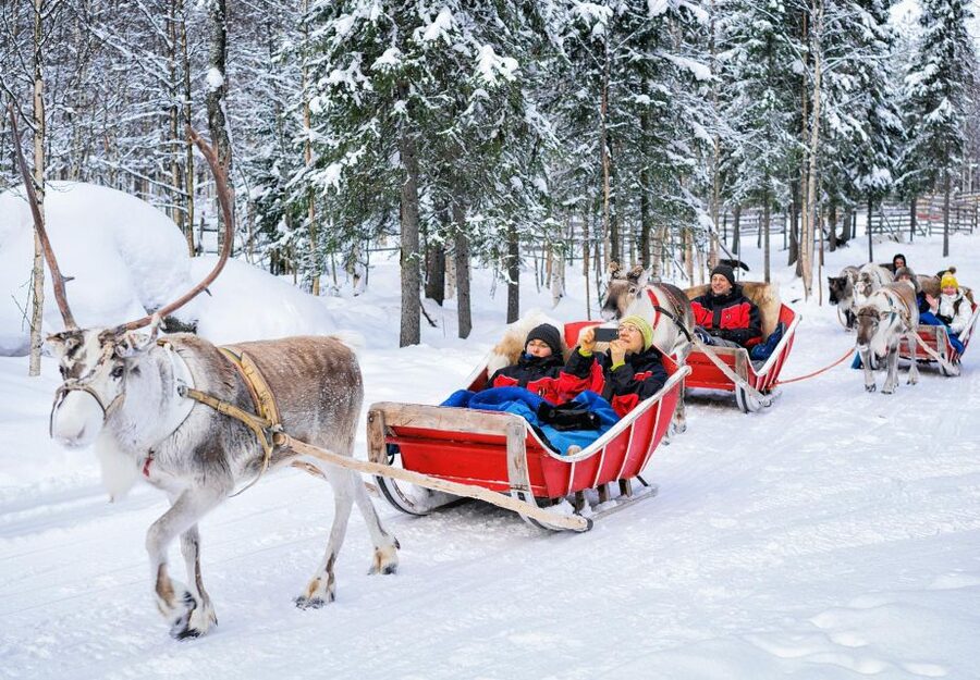 Rovaniemi: Reindeer Sleigh Ride with Hot Drink and Cookies - What the $294 price includes