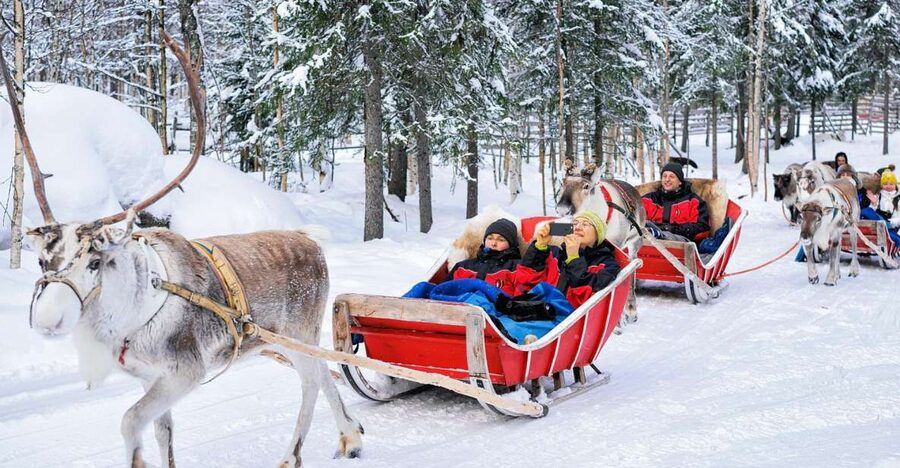 Rovaniemi: Reindeer Sleigh Ride with Hot Drink and Cookies - Meeting the reindeer before the sleigh ride