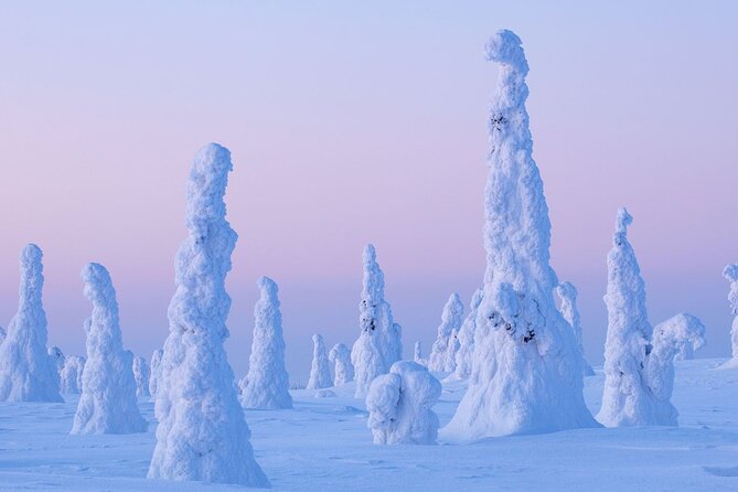 Rovaniemi: Riisitunturi Full-Day Wilderness Adventure & BBQ - Why Riisitunturi makes a strong winter day trip