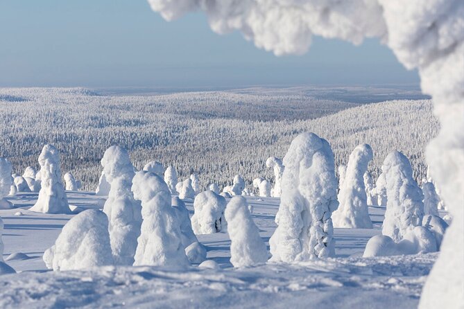 Rovaniemi: Riisitunturi Full-Day Wilderness Adventure & BBQ - Is $336.27 good value?