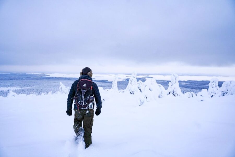 Rovaniemi: Riisitunturi National Park Day Trip with Lunch - Key points to know before you book
