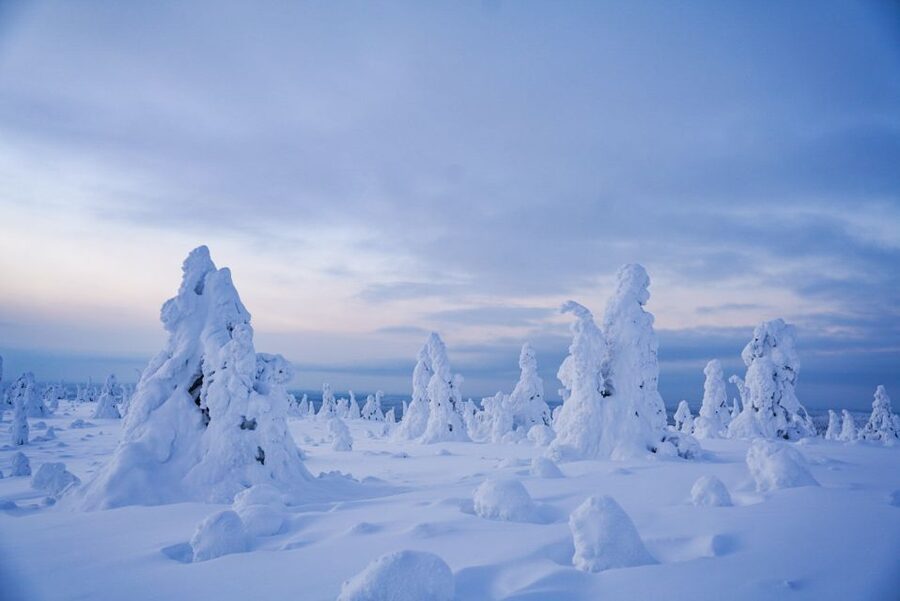 Rovaniemi: Riisitunturi National Park Day Trip with Lunch - Winter clothing makes a major difference