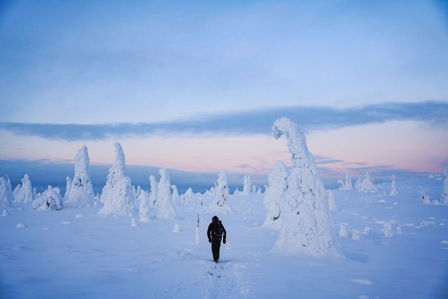 Rovaniemi: Riisitunturi National Park Day Trip with Lunch - What the small group changes
