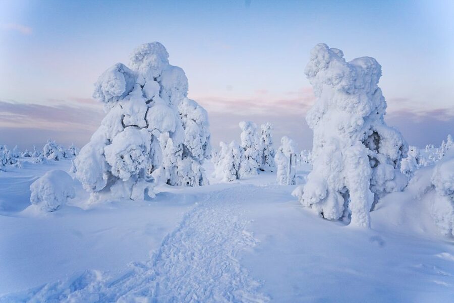Rovaniemi: Riisitunturi National Park Day Trip with Lunch - Who will enjoy this day most?