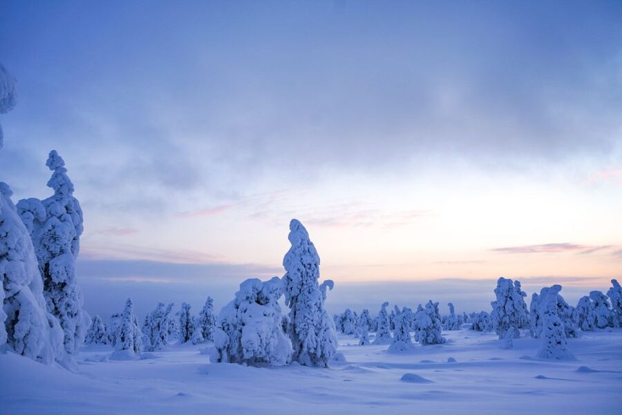 Rovaniemi: Riisitunturi National Park Day Trip with Lunch - The morning departure from Rovaniemi