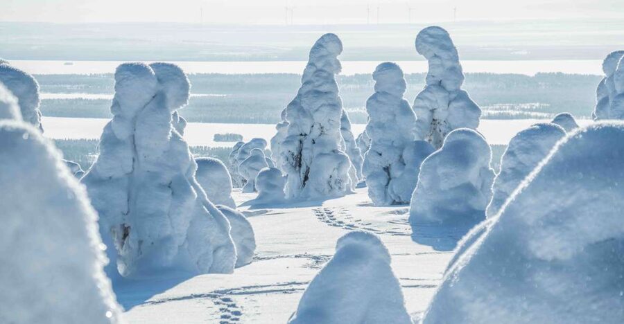 Rovaniemi: Riisitunturi National Park with Pro Photos & BBQ - Should you book Riisitunturi National Park?