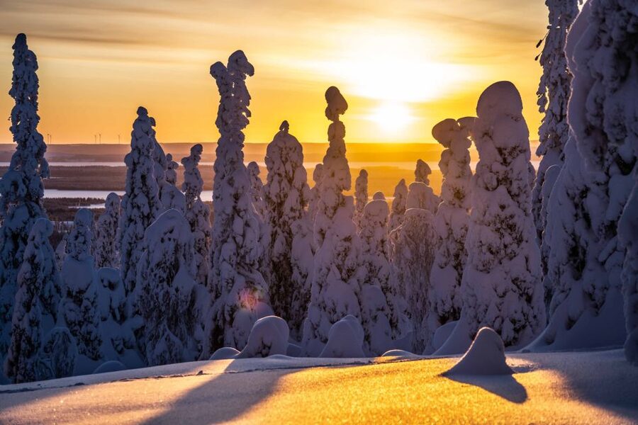 Rovaniemi: Riisitunturi National Park with Pro Photos & BBQ - Why Riisitunturi is worth the long ride