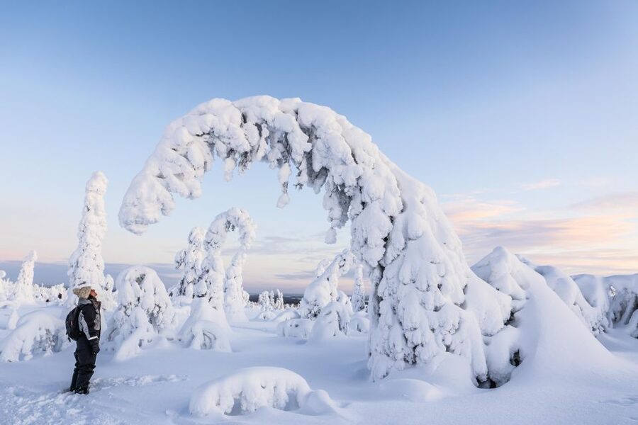 Rovaniemi: Riisitunturi National Park with Pro Photos & BBQ - A campfire lunch with Finnish flavor