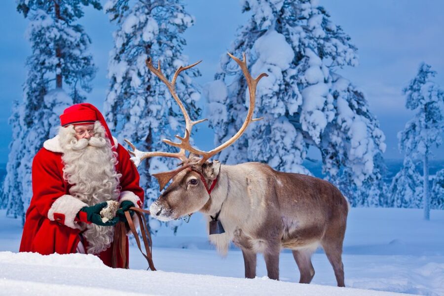 Rovaniemi: Santa Claus Village and Arctic Circle - Buffet lunch and the value of the package