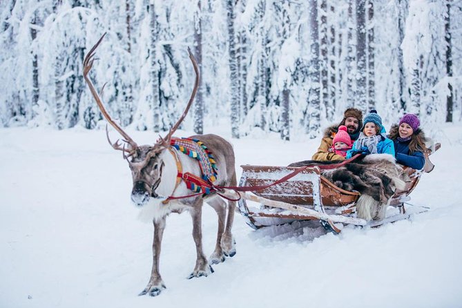 Rovaniemi Santa Claus Village Husky Reindeer Farm Arctic Museum - Guides can make or break the day