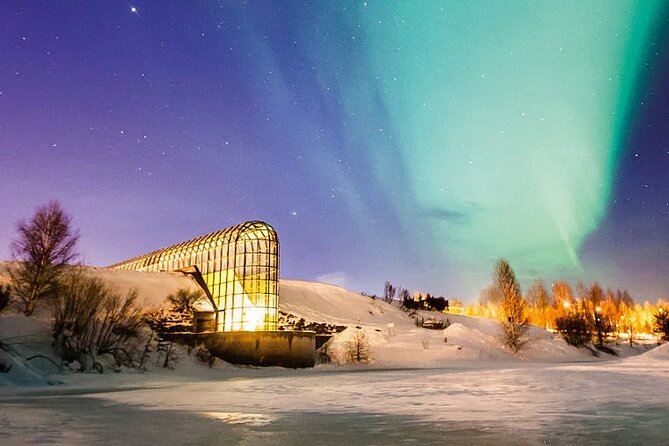 Rovaniemi Santa Claus Village Husky Reindeer Farm Arctic Museum - Ounasvaara Hill and the Finnish forest