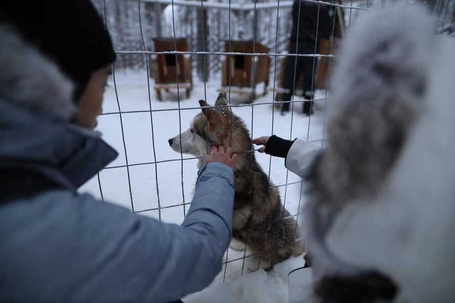 Rovaniemi: Santa Claus Village Tour Huskies & Reindeer ride - Key details to know before booking