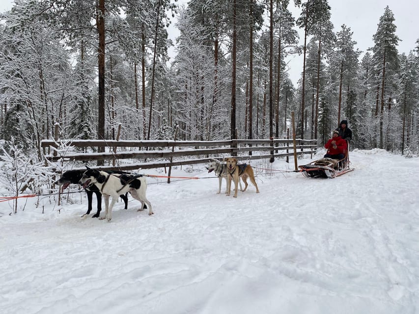 Rovaniemi: Santa Claus Village Tour Huskies & Reindeer ride - What the $235 price really covers