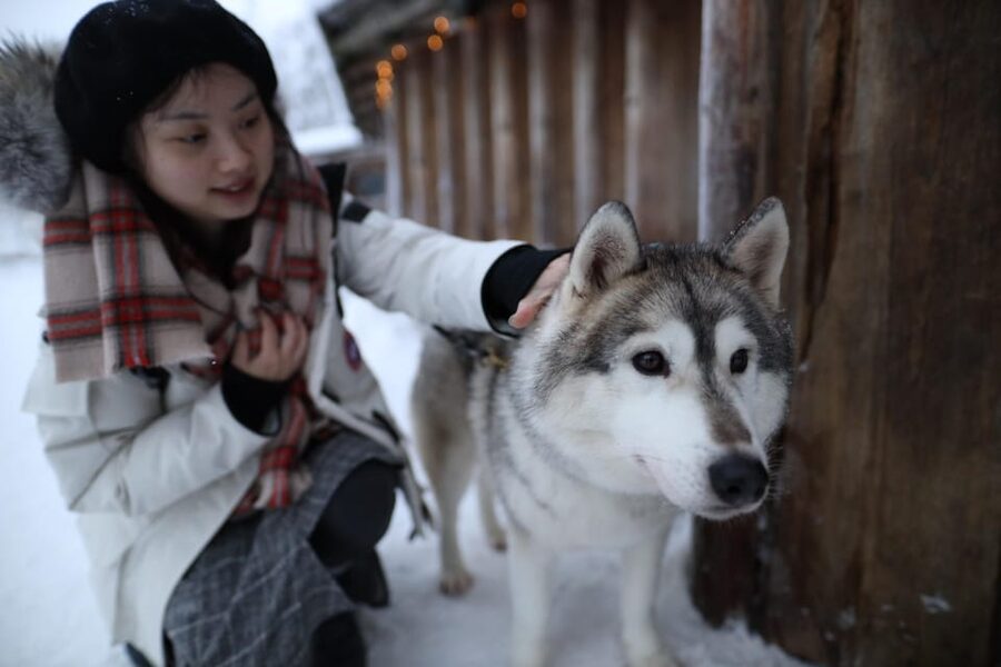 Rovaniemi: Santa Claus Village Tour Huskies & Reindeer ride - The best season for this particular outing