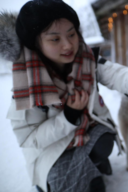 Rovaniemi: Santa Claus Village Tour Huskies & Reindeer ride - Who should book this 4.5-hour tour?