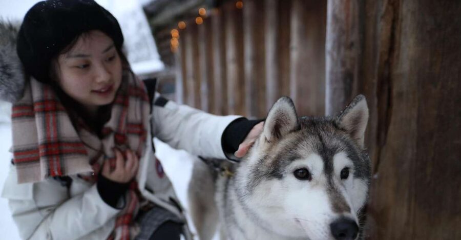 Rovaniemi: Santa Claus Village Tour Huskies & Reindeer Visit - Starting in Rovaniemi with a small group