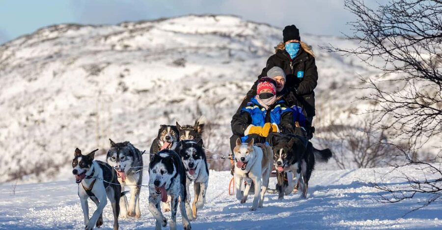 Rovaniemi: Santa's Village, Husky, & Reindeer Sled Ride - Husky farm visit: exciting in theory, uncertain in practice