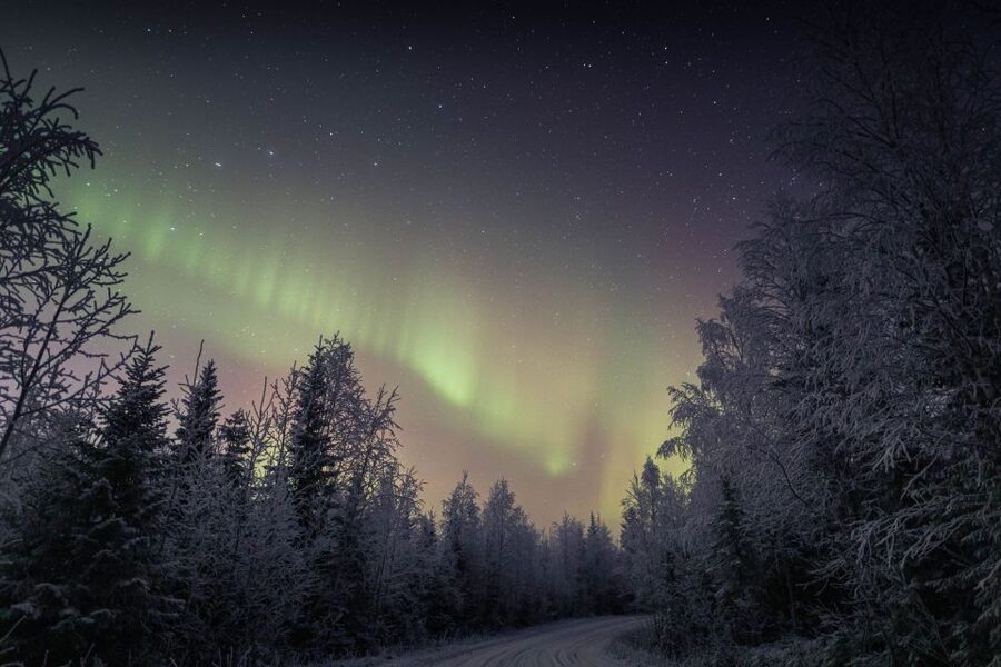 Rovaniemi: Sauna & Ice Swimming Tour with Dinner and Aurora - A remote 30-minute ride from Rovaniemi