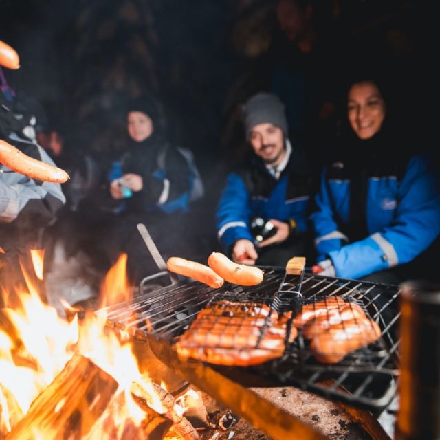 Rovaniemi: Search for Northern Lights Snowmobiling Trip - Why this short safari works well after sunset