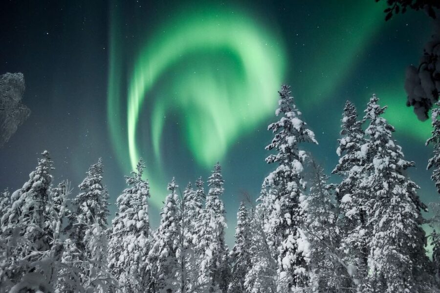 Rovaniemi: Search for Northern Lights Snowmobiling Trip - Riding through the forest outside Rovaniemi