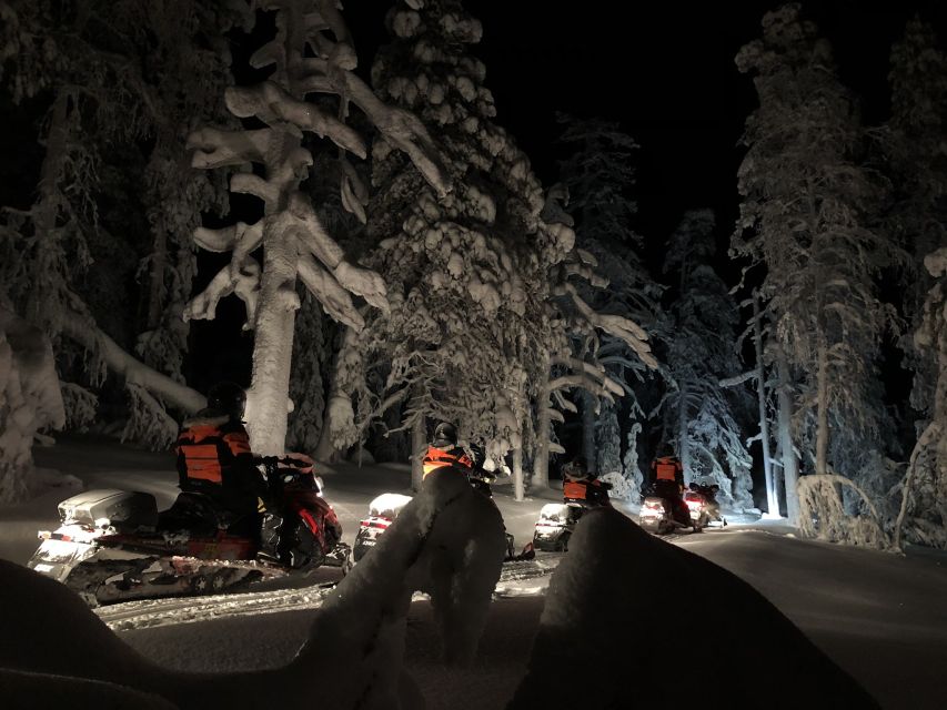 Rovaniemi: Search for Northern Lights Snowmobiling Trip - Searching for the aurora without false promises