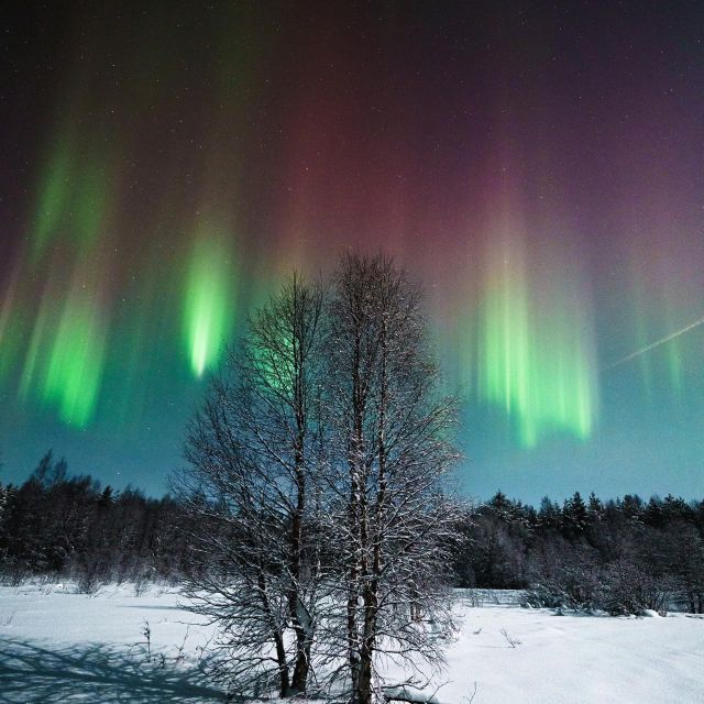 Rovaniemi: Small Group Aurora Hunt-full money back guarantee - Is $140 a fair price?