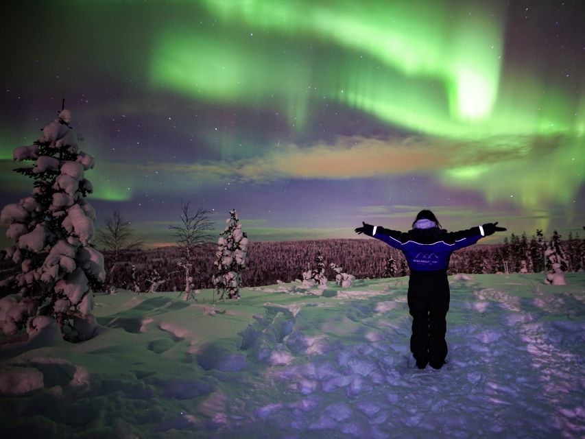 Rovaniemi: Small-Group Northern Lights Wilderness Tour - Waiting beside the fire in the Finnish wilderness