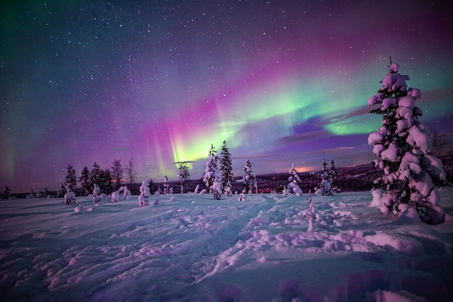 Rovaniemi: Small-Group Northern Lights Wilderness Tour - Professional winter clothing and practical comfort