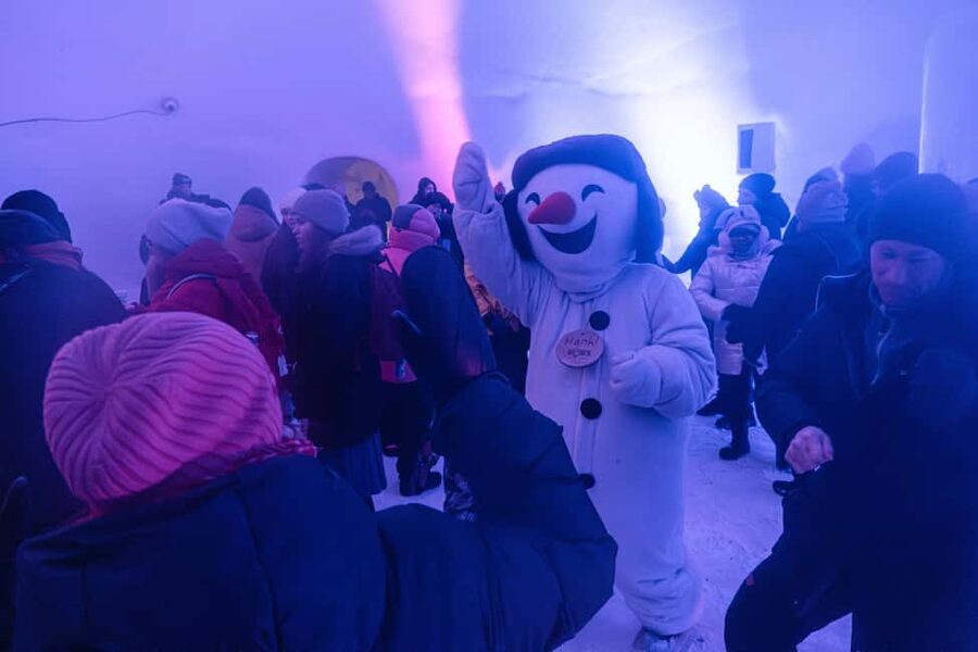 Rovaniemi: Snowman World Entrance Ticket - Booking, cancellation, and useful details