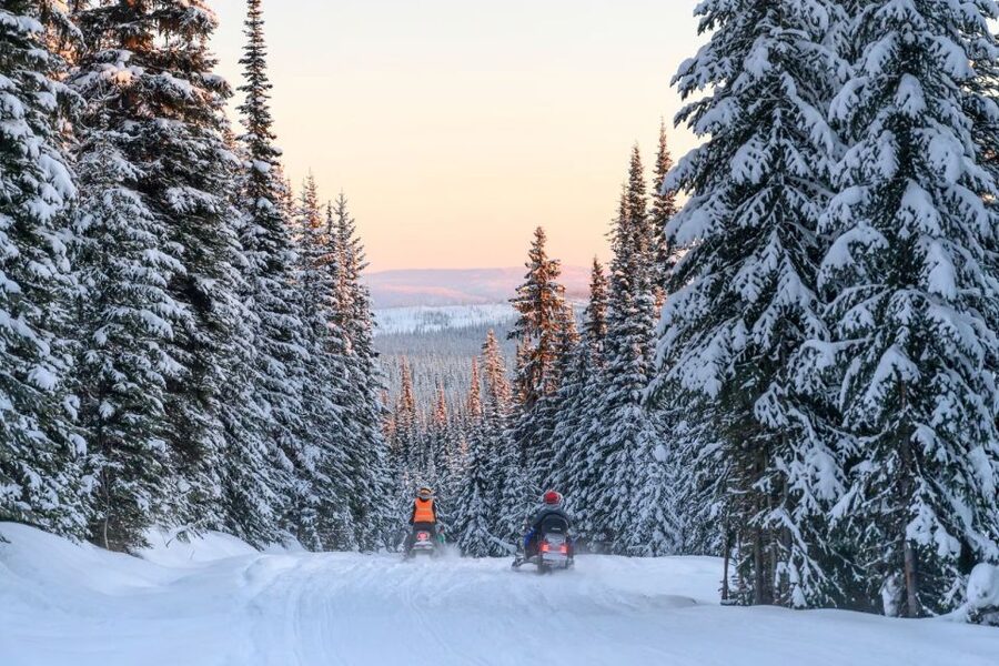 Rovaniemi: Snowmobile Safari Adventure - Stops, driver changes, and the cold factor
