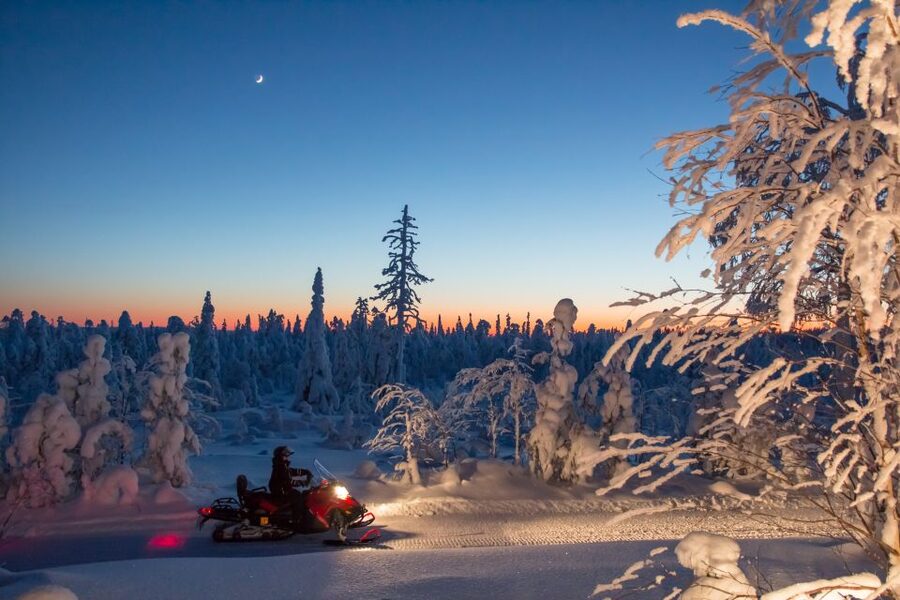 Rovaniemi: Snowmobile Safari & Campfire Evening Escape - A Campfire in the Pitch-Black Forest