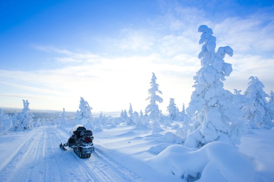 Rovaniemi: Snowmobile Safari in the Arctic Circle - Booking, cancellation, and practical timing
